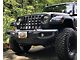 Grille Insert; Black and Light Gray American Flag (20-24 Jeep Gladiator JT)