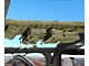 Smittybilt GEAR Overhead Console; Coyote Tan (97-06 Jeep Wrangler TJ)