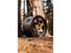 Fifteen52 Patrol HD Bronze 6-Lug Wheel; 17x8.5; 0mm Offset (10-24 4Runner)