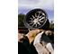 Fifteen52 Range HD Magnesium Grey 6-Lug Wheel; 17x8.5; 0mm Offset (05-15 Tacoma)
