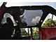 GearShade FullShade Top (07-18 Jeep Wrangler JK 4-Door)