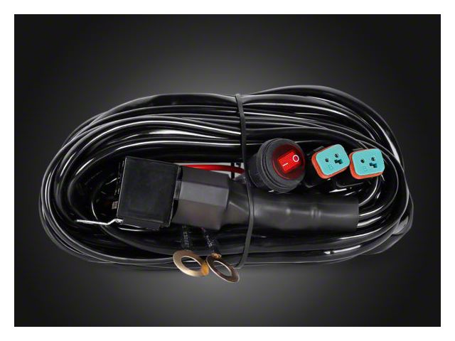 Wiring Harness; 2 Outputs