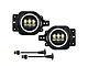 9-Inch LED Halo Headlights with DRL, Amber Turn Signals and LED Halo Fog Lights; Black Housing; Clear Lens (20-24 Jeep Gladiator JT)