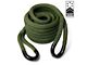 Yankum Ropes 3/4-Inch x 30-Foot Kinetic Rope; OD Green