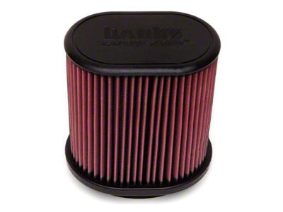 Banks Power Replacement Ram Air System Filter; Oiled (20-24 3.6L Jeep Gladiator JT)