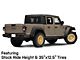 Black Rhino Raid Gold Wheel; 20x9.5 (20-24 Jeep Gladiator JT)