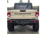 Gladiator Tailgate Letters; Domed Carbon Fiber (20-26 Jeep Gladiator JT)