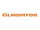 Gladiator Tailgate Letters; Gloss Orange (20-24 Jeep Gladiator JT)