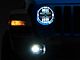 Raxiom Axial Series 9-Inch Angel Eye LED Headlights and LED Fog Lights; Black Housing; Clear Lens (20-24 Jeep Gladiator JT)