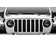 T-REX Grilles Sport Series Grille Insert; Black (20-23 Jeep Gladiator JT w/o TrailCam, Excluding Sport & Mojave)