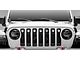 T-REX Grilles Torch Series Grille Insert with LED Lights; Black (20-23 Jeep Gladiator JT w/o TrailCam, Excluding Sport & Mojave)