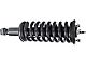 Front Strut and Spring Assemblies (05-21 4WD Frontier, Excluding PRO-4X)