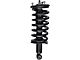 Front Strut and Spring Assemblies (04-19 4WD Titan w/o Off-Road Package)