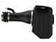 AFE Momentum GT Cold Air Intake with Pro 5R Oiled Filter; Black (17-24 Titan)