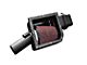Stillen Enclosed Cold Air Intake with Oiled Filter (04-15 Titan)
