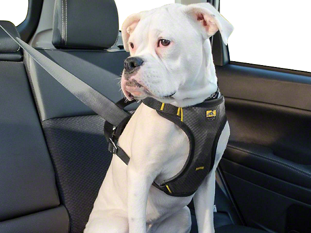 Dog Car Harness >> Impact Dog Car Harness Black Charcoal Dog Car Harness >> Impact Dog Car Harness Black Charcoal