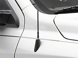 RedRock Antenna; 6-Inch (09-18 RAM 1500)