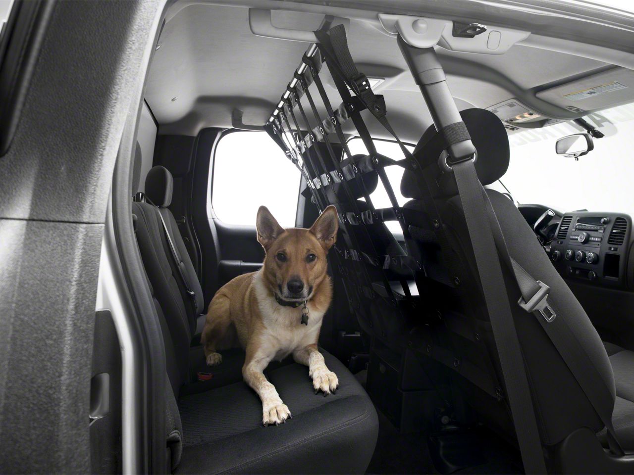 dog divider for truck