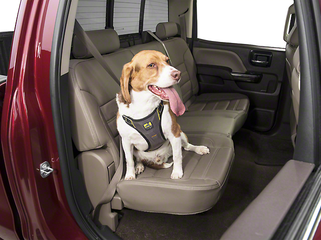 Dog Seat Belt Harness >> Sierra Impact Dog Seat Belt Harness Black Dog Seat Belt Harness >> Sierra Impact Dog Seat Belt Harness Black