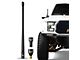 EcoAuto Flexible Replacement Antenna; 12-Inch; Black (21-24 Bronco)