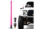 EcoAuto Flexible Replacement Antenna; 12-Inch; Pink (21-24 Bronco)