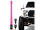 EcoAuto Flexible Replacement Antenna; 8-Inch; Pink (21-24 Bronco)