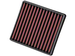 AEM Induction DryFlow Replacement Air Filter (09-26 F-150)