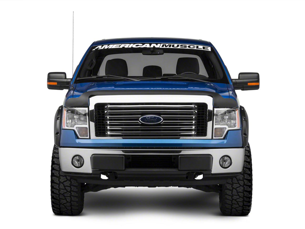 2011 ford f150 bug deflector