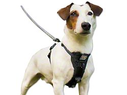 TruFit Smart Dog Walking Harness; Black