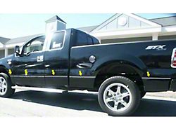Body Side Molding Accent Trim; Stainless Steel (09-14 F-150 SuperCrew w/ 5-1/2-Foot Bed)