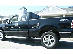 Body Side Molding Accent Trim; Stainless Steel (04-14 F-150 SuperCab w/ 8-Foot Bed)