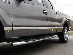 Body Molding Insert Trim Kit; Stainless Steel (04-14 F-150 SuperCab w/ 8-Foot Bed)