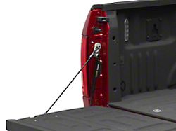 Tailgate Assist (15-26 F-150)