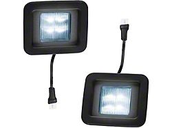 LED License Plate Illumination Kit (15-23 F-150)