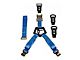 N-Fab Bed Mounted Rapid Tire Strap; Blue