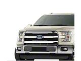 Stainless Steel Billet Lower Grille Insert; Black (15-17 F-150, Excluding Raptor)