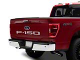 Tailgate Insert Letters; Stainless Steel (21-26 F-150)