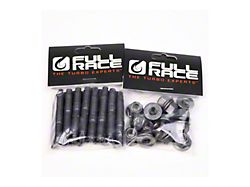 Inconel Manifold Hardware Kit (11-20 3.5L EcoBoost F-150)