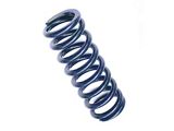 Ridetech Replacement Coil Spring; 800 lbs; 8-Inch x 2.5-Inch