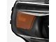 AlphaRex NOVA-Series LED Projector Headlights; Alpha Black Housing; Clear Lens (10-13 4Runner)
