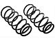 Constant Rate Rear Coil Springs (03-09 4Runner)