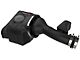 AFE Momentum GT Cold Air Intake with Pro DRY S Filter; Black (10-23 4.0L 4Runner)