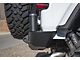 Expedition One Bolt-On Ladder Attachment for Dual Swing Setups (10-24 4Runner)