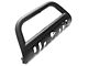 Bull Bar with Skid Plate; Black (10-24 4Runner, Excluding Limited & Nightshade)
