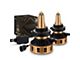 AlphaRex Gold Ammo Panoramic LED Headlight Bulbs; Low Beam; 9006 (03-05 4Runner)