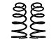RSO Suspension 2.50-Inch Rear Lift Coil Springs; Black (03-24 4Runner)