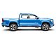 RedRock 4-Inch Oval Bent End Side Step Bars; Stainless Steel (05-22 Tacoma Double Cab)