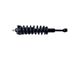 Front Strut and Spring Assembly; Passenger Side (05-15 4WD Tacoma)