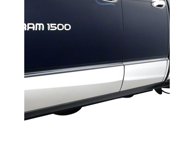 Rocker Panel Stainless Steel Molding (05-15 Tacoma Access Cab)