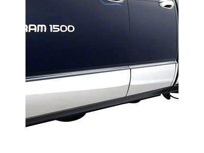 Rocker Panel Stainless Steel Molding (05-15 Tacoma Double Cab)